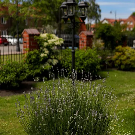 Kapitan Kik Проживание в семье *