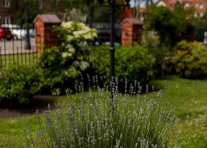 Kapitan Kik 民宿 *